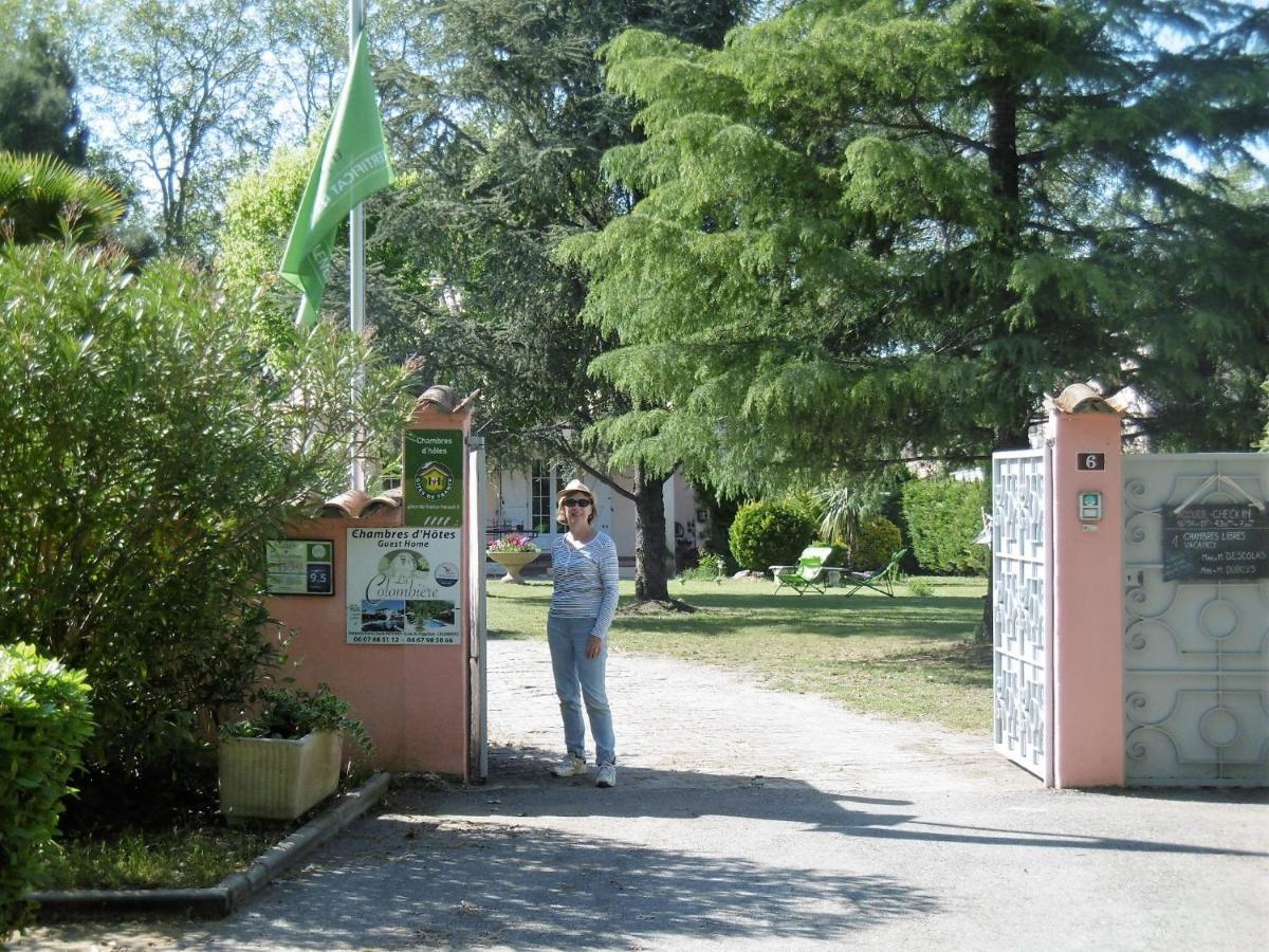 Chambres D'Hotes La Colombiere 科隆比耶尔 客房 照片